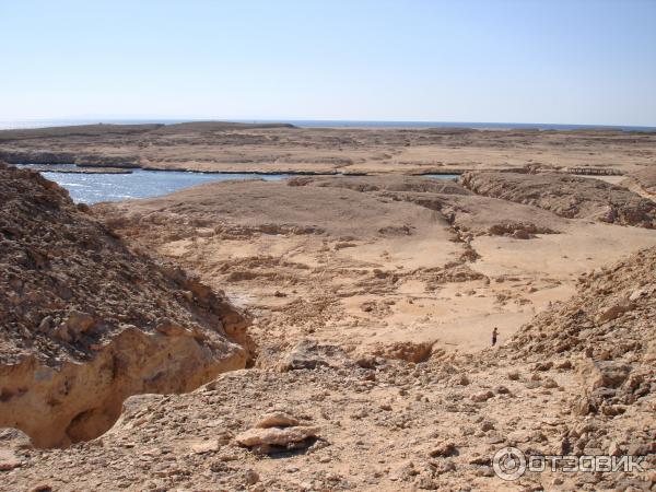 в парке Рас-Мохаммед