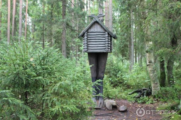 Экотропа лукоморье в лисьем. Экотропа Лукоморье в Лисьем носу. Эко тропа Лукоморье в СПБ. Эко тропа у Лукоморья. Экотропа у Лукоморья Санкт-Петербург.