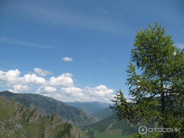 Путешествие по Горному Алтаю (Россия, Алтай) фото