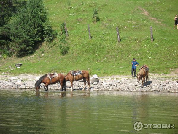 Отдых на оз. Телецкое (Россия, Алтай) фото