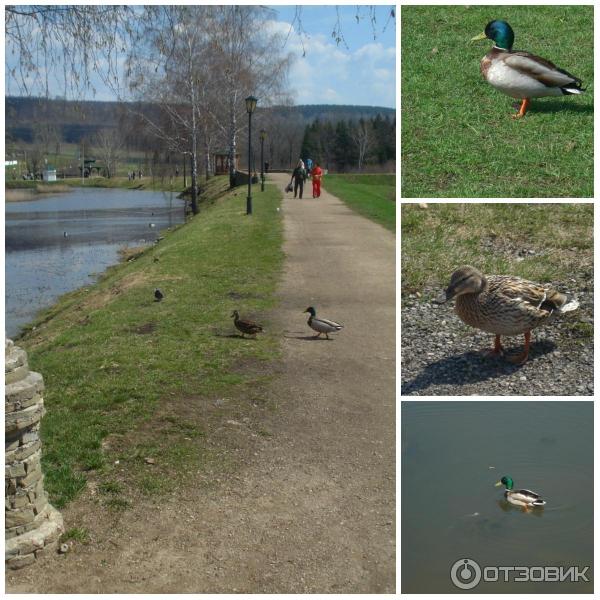 Курорт Красноусольск (Россия, Башкирия) фото