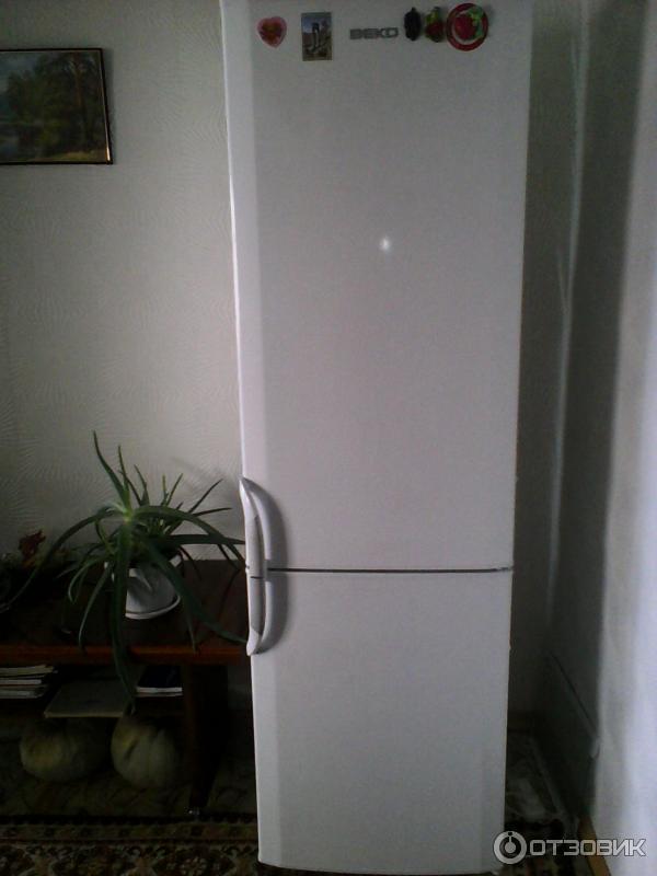 Холодильник Beko CSK 38000S фото