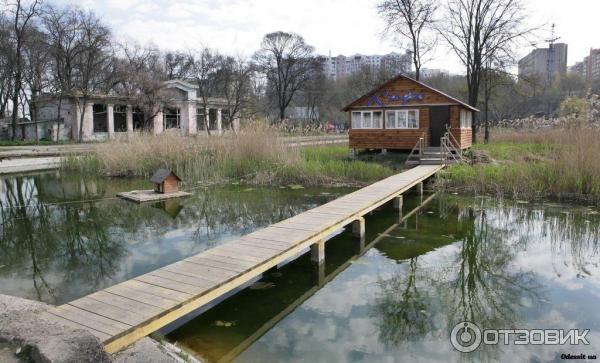 Дюковский сад (Украина, Одесса) фото