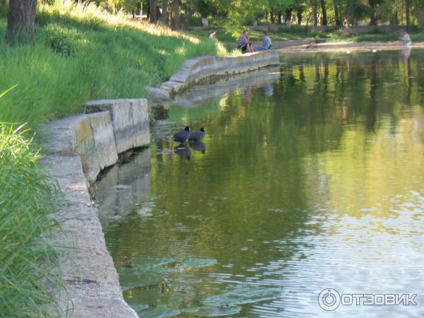 Дюковский сад (Украина, Одесса) фото