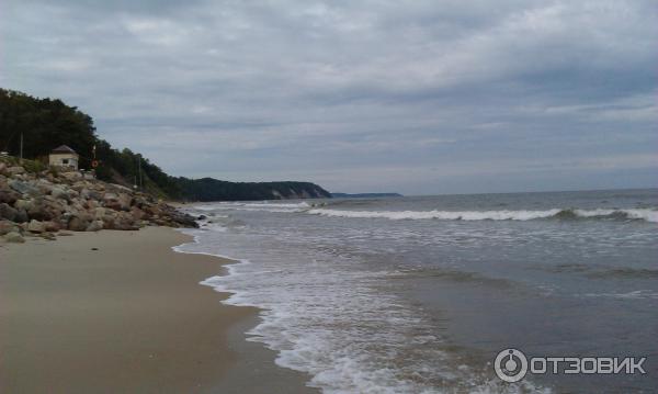 Отдых в г. Светлогорск (Россия, Калининградская область) фото