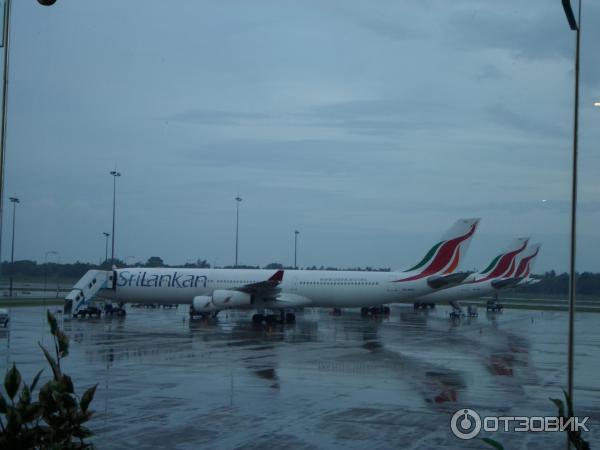 Авиакомпания Srilankan Airlines (Национальная авиакомпания Шри-Ланки) фото