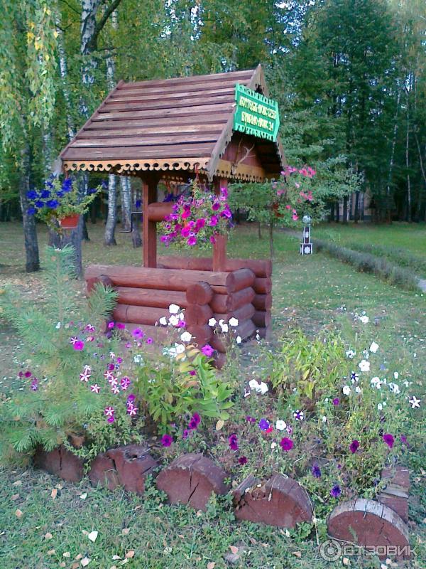 Санаторий Вятичи (Россия, Калужская область) фото