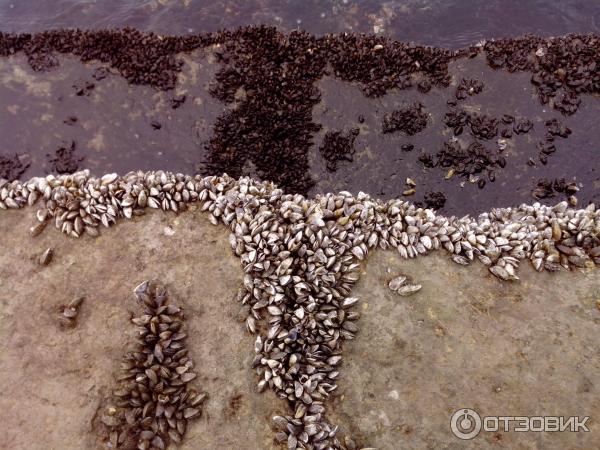 Куйбышевское водохранилище