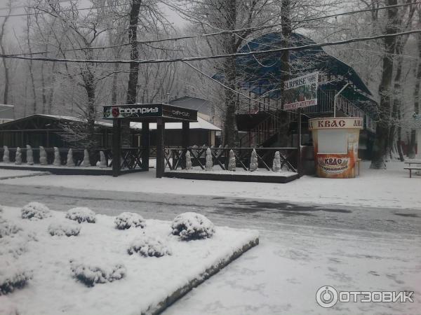 Сюрприз ставрополь парк победы фото