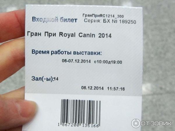 Выставка кошек в Крокус Экспо (Москва) Гран При Royal Canin 2014 фото