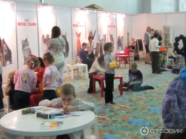 Выставка кошек в Крокус Экспо (Москва) Гран При Royal Canin 2014 фото