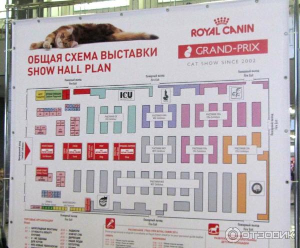 Выставка кошек в Крокус Экспо (Москва) Гран При Royal Canin 2014 фото