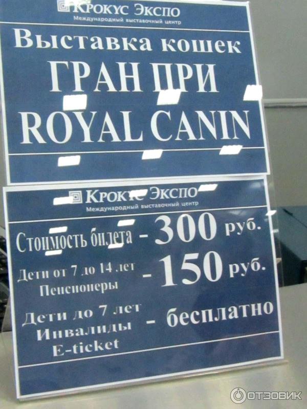 Выставка кошек в Крокус Экспо (Москва) Гран При Royal Canin 2014 фото