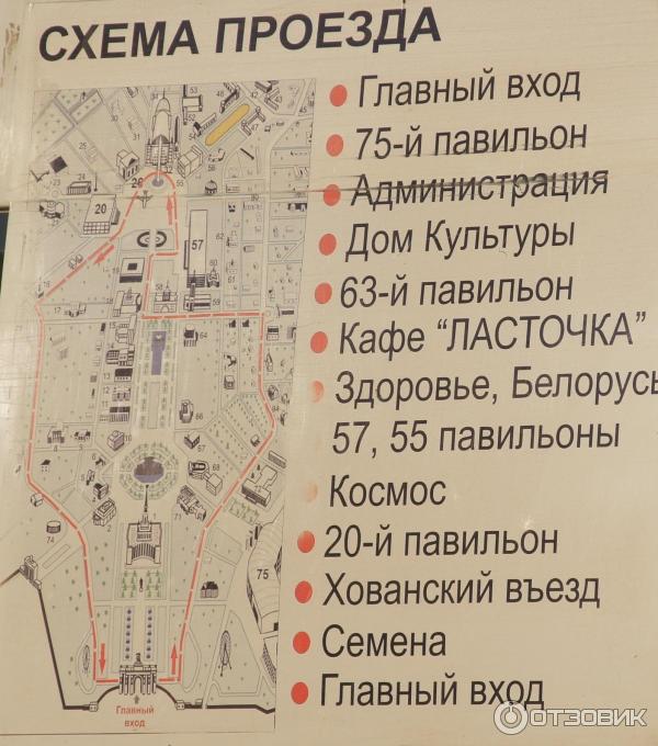 Семена На Вднх 2025 Где Купить