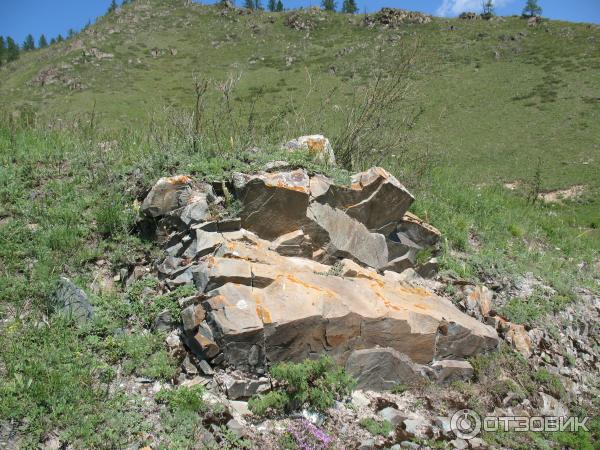 Отдых в Онгудайском районе Горный Алтай фото