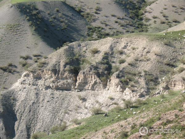 Отдых в Онгудайском районе Горный Алтай фото