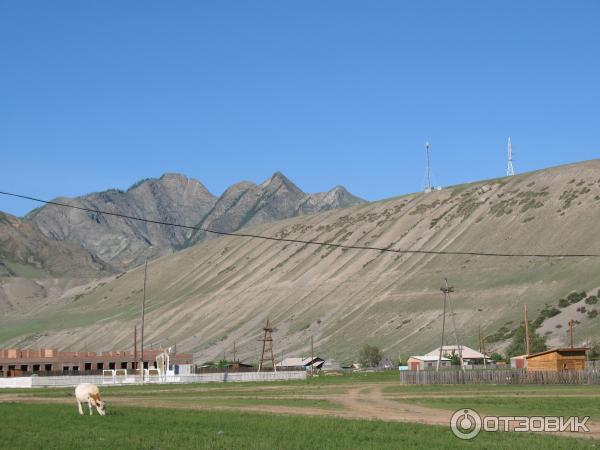 Отдых в Онгудайском районе Горный Алтай фото