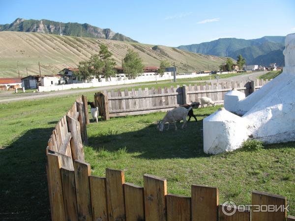 Отдых в Онгудайском районе Горный Алтай фото