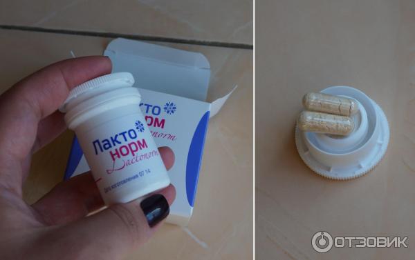 Лактонорм Купить В Аптеке Гомель