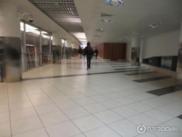 Терминал D Аэропорта Шереметьево (Россия, Москва) фото