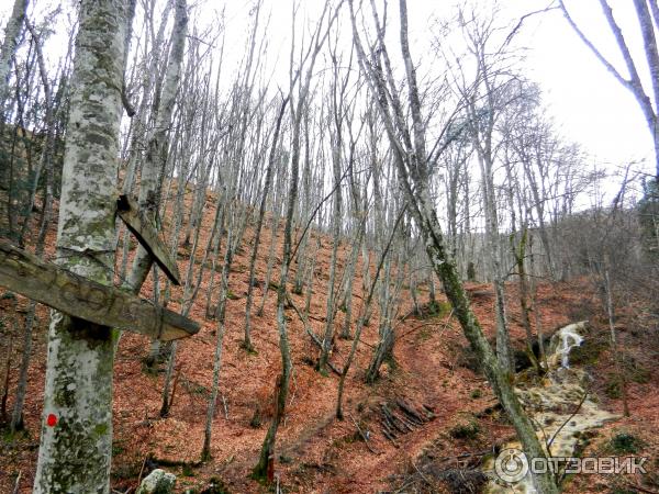 Водопад Серебряные струи