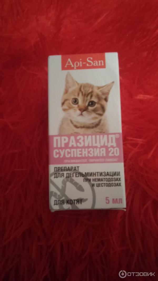 Таблетки празицид для кошек