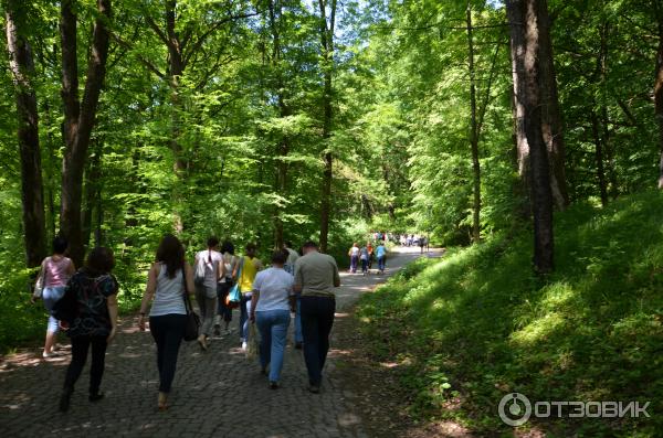 Замок графа Шенборна (Украина, Закарпатская обл.) фото