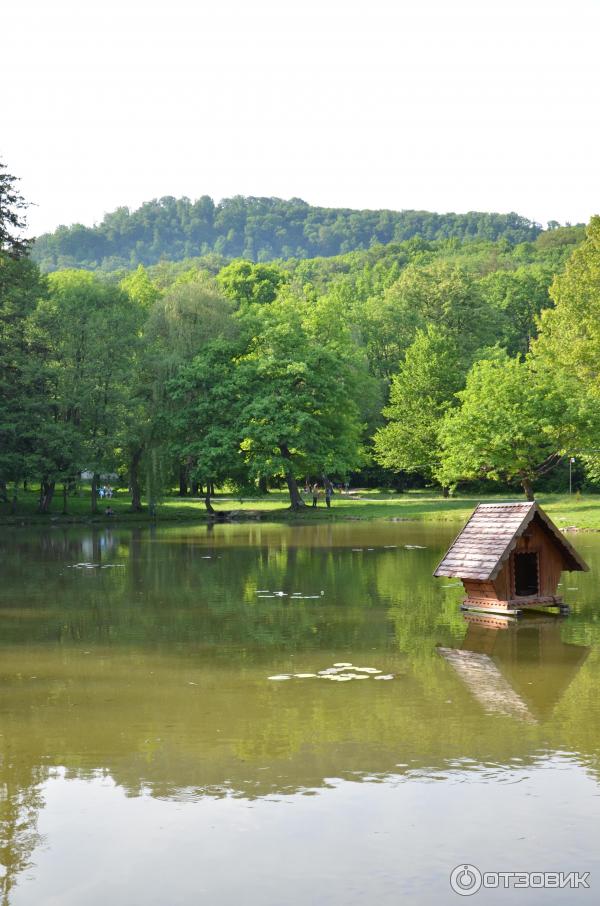 Замок графа Шенборна (Украина, Закарпатская обл.) фото