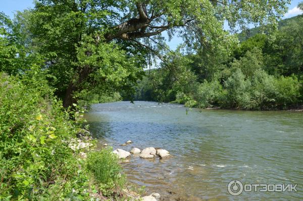 Замок графа Шенборна (Украина, Закарпатская обл.) фото