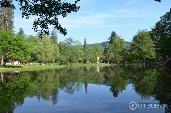 Замок графа Шенборна (Украина, Закарпатская обл.) фото