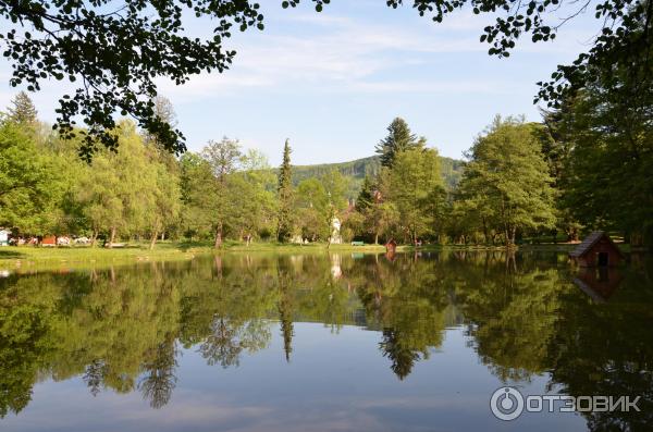 Замок графа Шенборна (Украина, Закарпатская обл.) фото