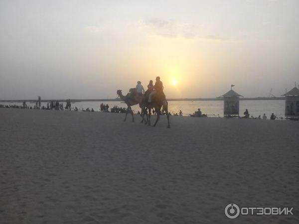 Пляж Dubai Marina beach (ОАЭ, Дубай) фото