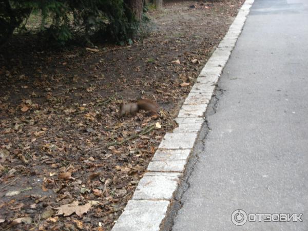 Пещерные купальни в Мишкольц-Тапольце (Венгрия, Мишкольц-Тапольца) фото