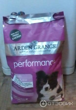 Корм для бордер колли. Бордер колли высота в холке. Корм для бордер колли. Бордер колли маленький. Корм для бордер колли.