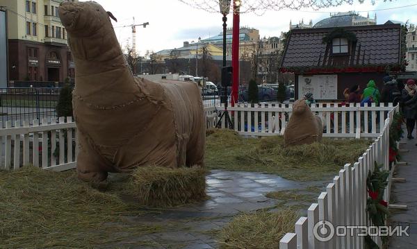 Рождественские ярмарки в Москве (Россия) фото