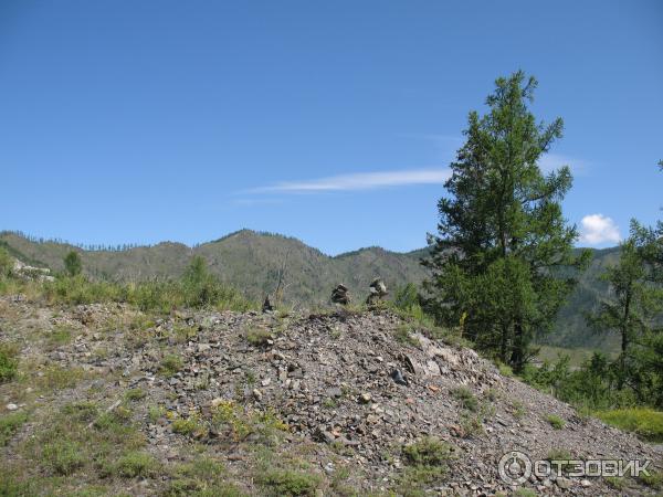 Отдых за перевалом Чике -Таман Горный Алтай фото