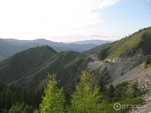 Отдых за перевалом Чике -Таман Горный Алтай фото