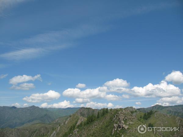 Отдых за перевалом Чике -Таман Горный Алтай фото