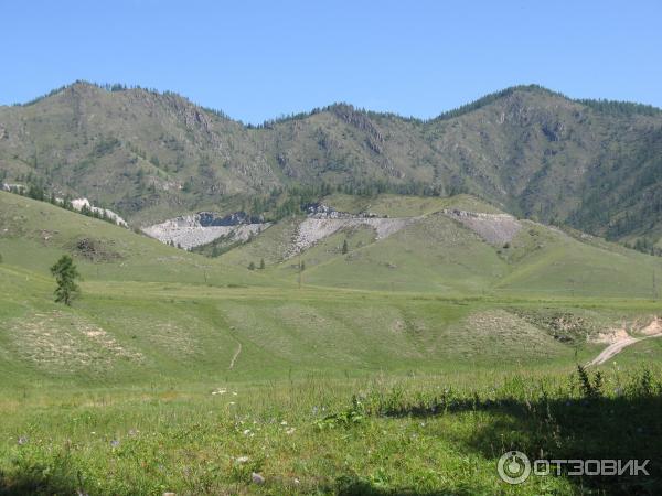 Отдых за перевалом Чике -Таман Горный Алтай фото