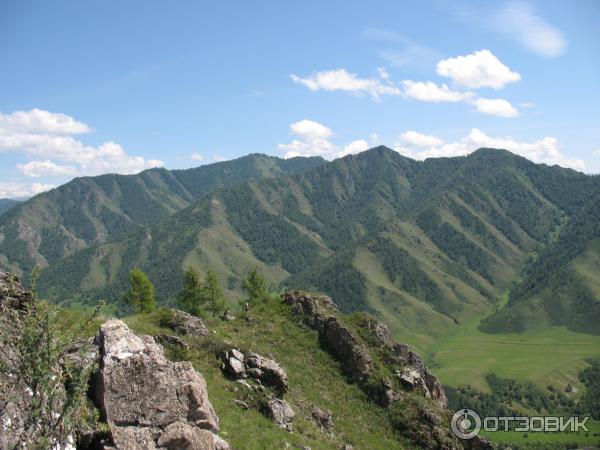 Отдых за перевалом Чике -Таман Горный Алтай фото