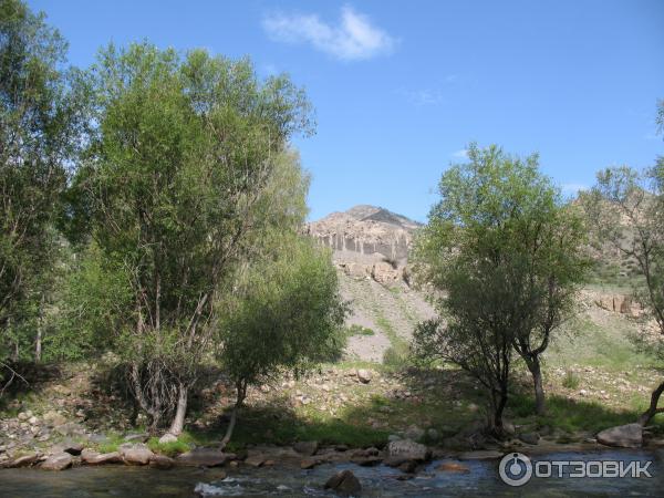 Отдых за перевалом Чике -Таман Горный Алтай фото