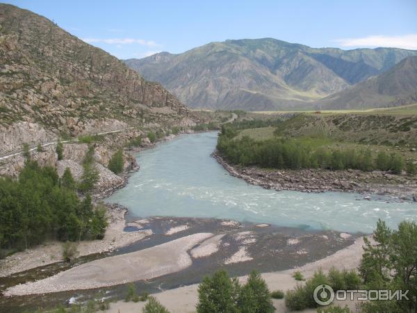 Отдых за перевалом Чике -Таман Горный Алтай фото