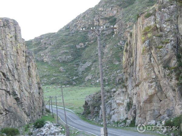 Отдых за перевалом Чике -Таман Горный Алтай фото