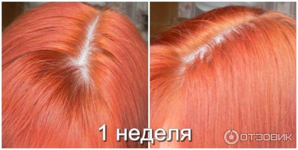 Крем-краска для волос Garnier Color Naturals фото