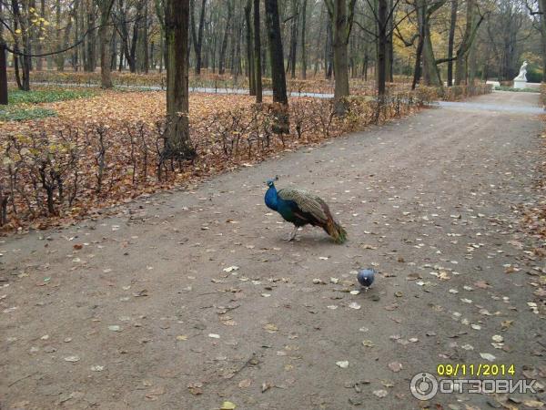 Достопримечательности Варшавы (Польша) фото